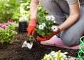 How to Improve Your Garden in 8 Steps? A Full Guide